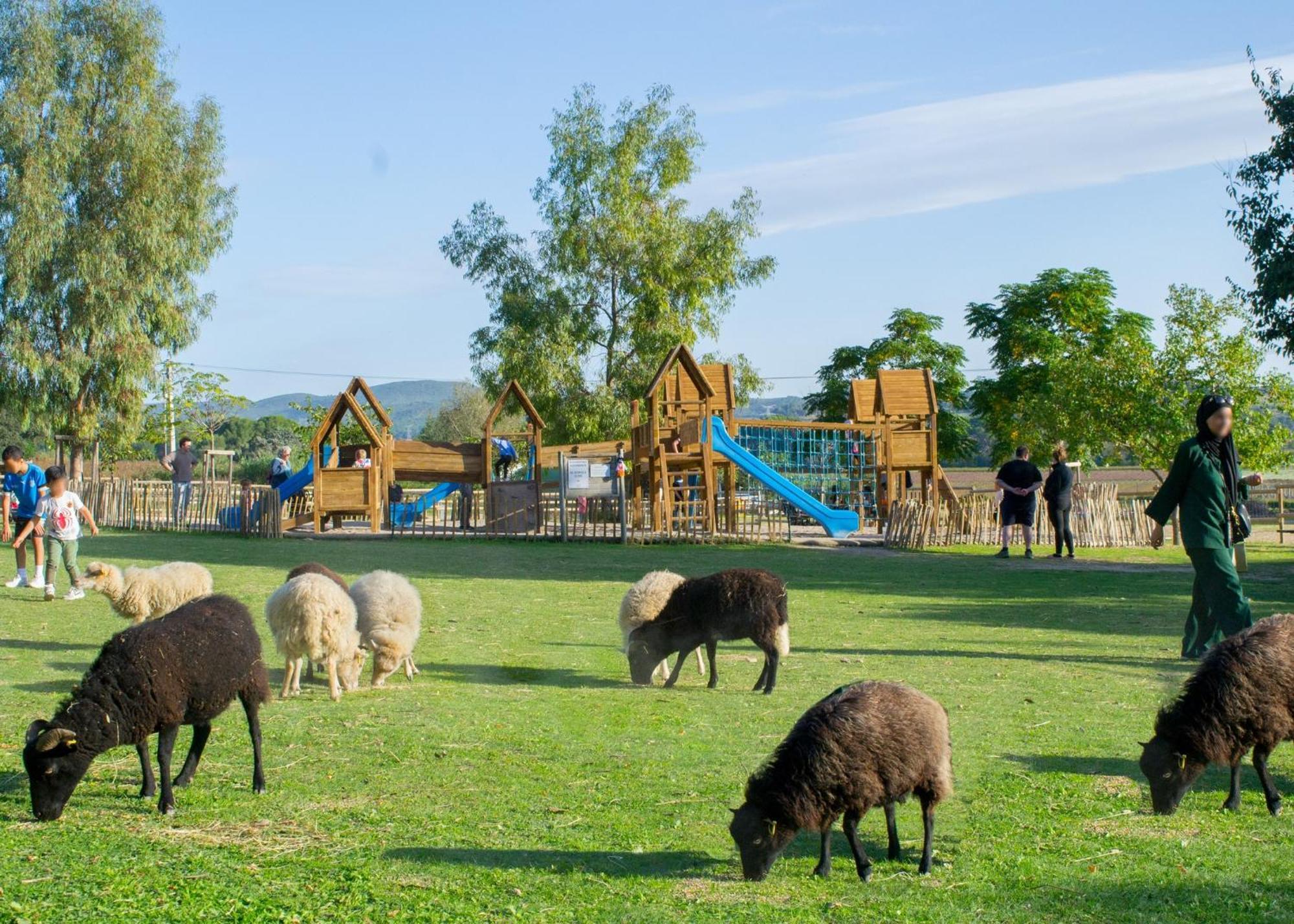 Maison Avec Piscine Location De Vacances Ferme Pedagogique Du Dolmen Le Pouget ภายนอก รูปภาพ